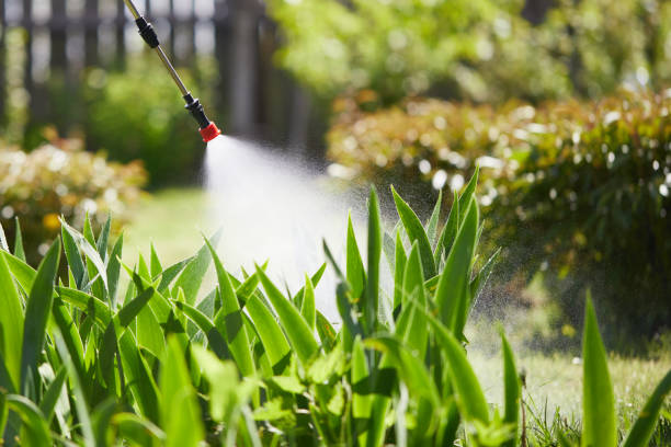 Tamper-Resistant Bait Stations for Rodents in Newcastle