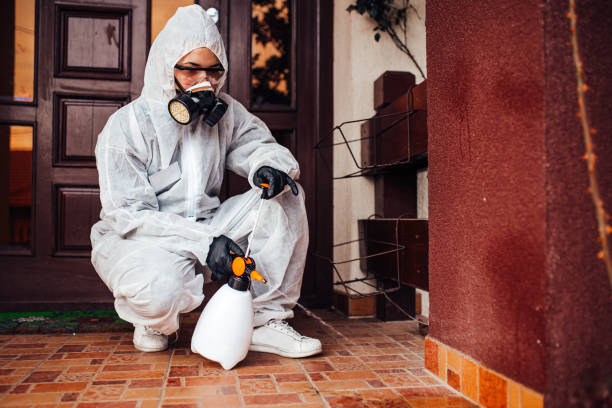 Attic and Crawl Space Rodent Treatment in Newcastle