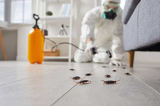 Commercial Rodent Management in Newcastle